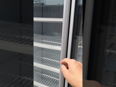 Commercial 1700L Upright Glass Door Cooler With Compressor
