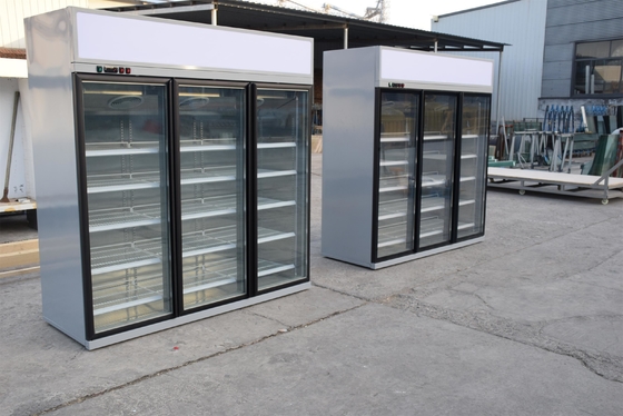 Multi dispositivo di raffreddamento dritto della piattaforma con la porta di vetro lustrata doppio