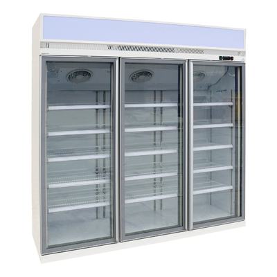 Dispositivo di raffreddamento di vetro R290 dell'esposizione della porta del motore del ventilatore di Ebm per le bevande