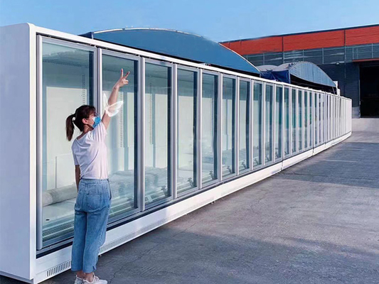 Porta in vetro oscillante Reach nel congelatore a parete per merchandiser a distanza in bianco