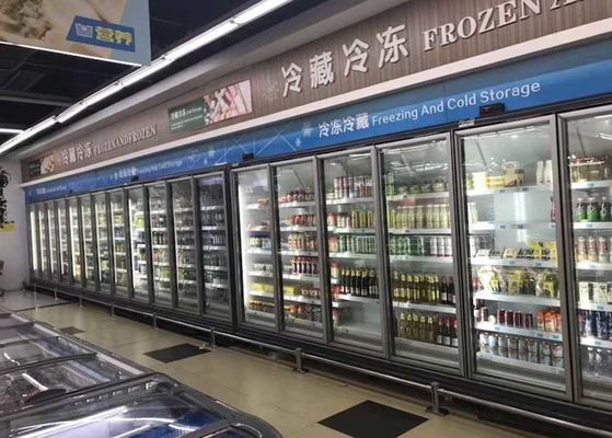 Carel Thermostat Commercial Upright Freezer per alimento congelato