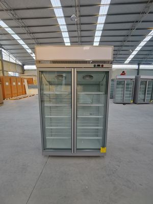 Congelatore di vetro dritto della porta del negozio di alimentari R404a con il compressore di SECOP