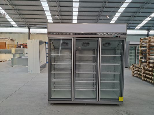 Sbrinamento automatico del congelatore commerciale dritto della porta del refrigerante R290 R404a 3