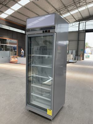 Frigorifero commerciale della bevanda della bottiglia con una porta di vetro dell'oscillazione