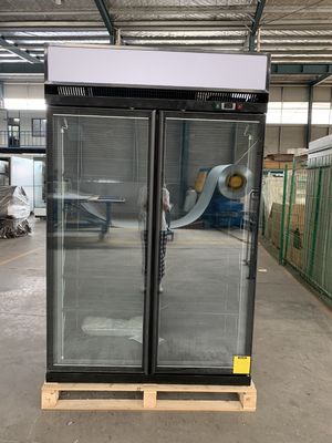 Dispositivo di raffreddamento di vetro dritto della porta di R404a doppio con il vetro E basso libero del gelo